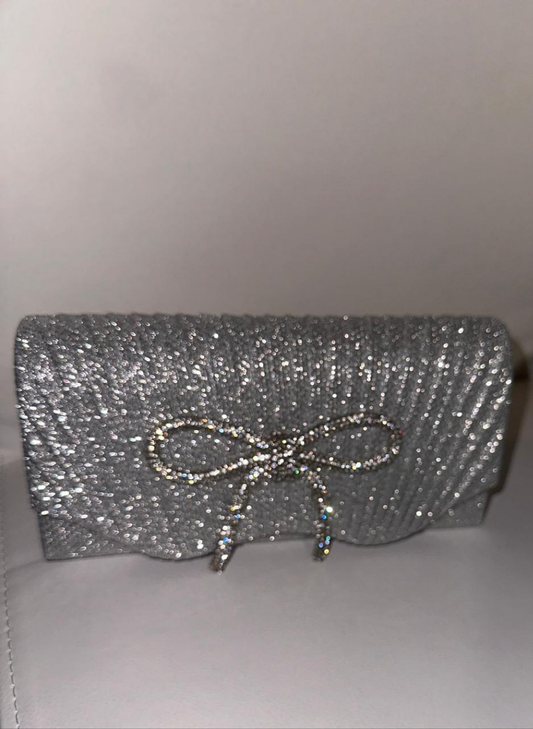 Silver Purse 🩶