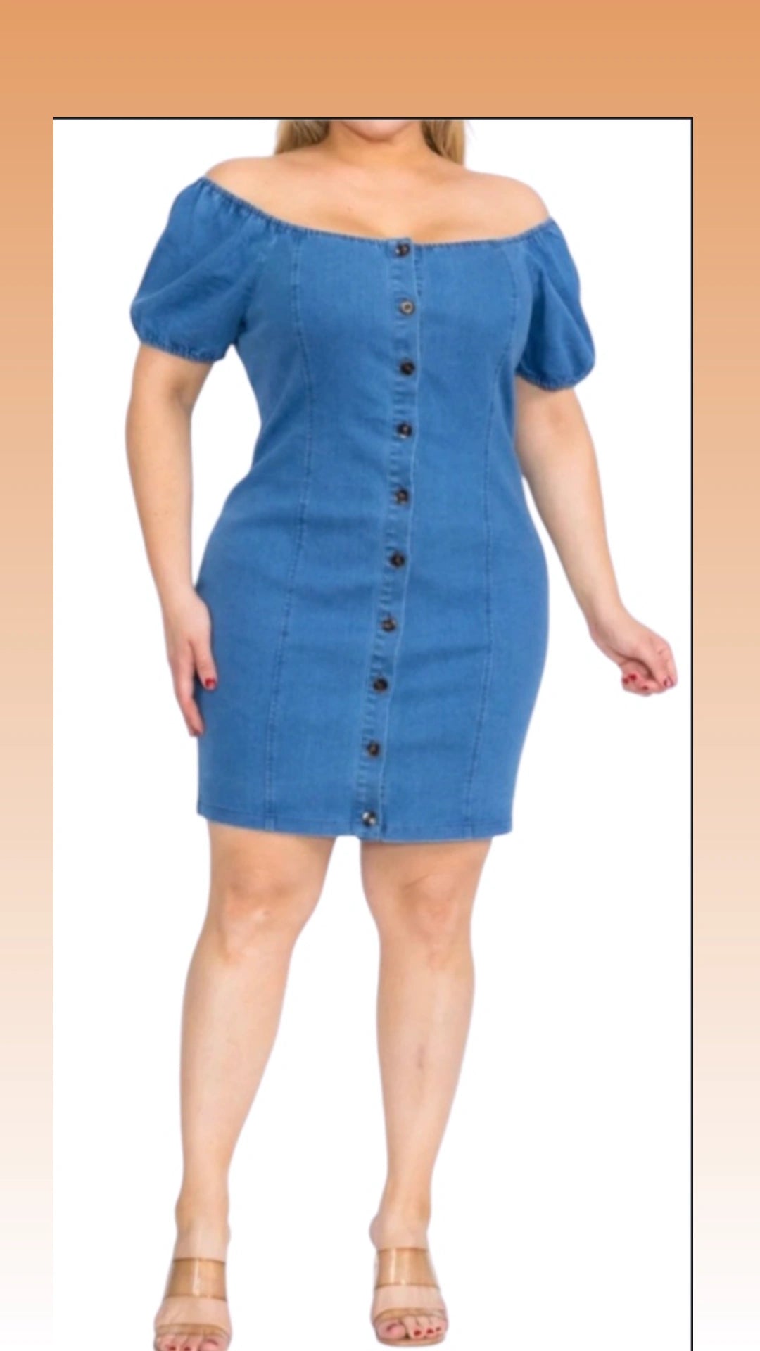 Gina Denim Dress(plus)