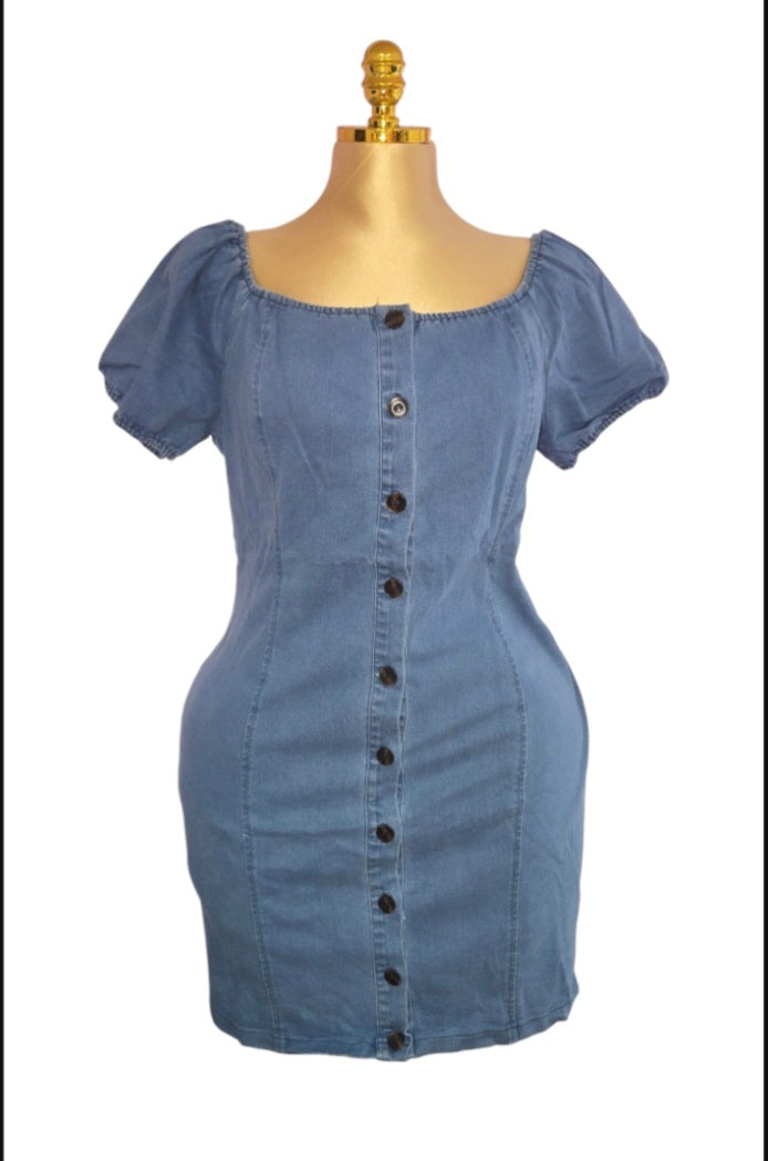 Gina Denim Dress(plus)